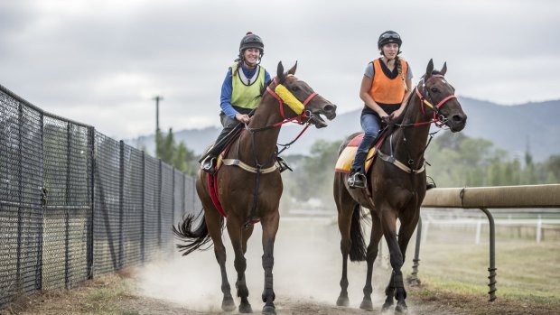 Just a Blur, left, is chasing back-to-back Goulburn Cup wins.