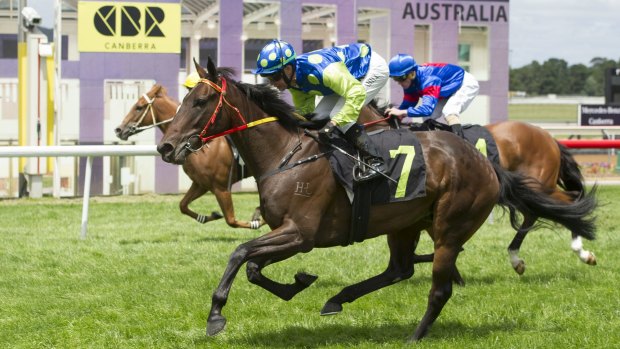 Rock on Zariz could be on track for the listed Canberra Guineas.