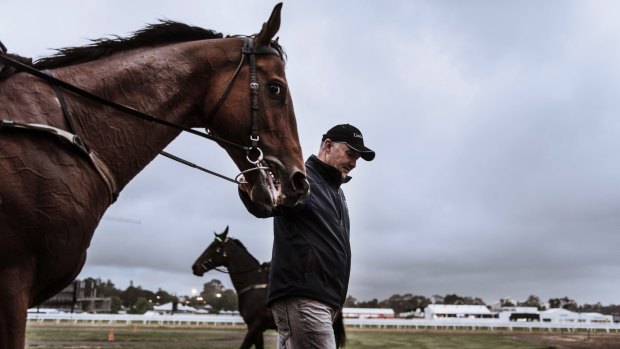 Sale price queried: David Hayes, with Caulfield Cup winner Boom Time, says there is no danger of the horse being withdrawn from the Melbourne Cup.