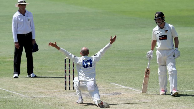 Please please me: Nathan Lyon appeals on day two at the WACA.
