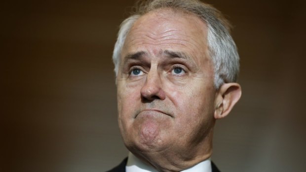 Communications Minister Malcolm Turnbull.