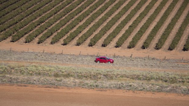 Stephanie Scott's abandoned Mazda.