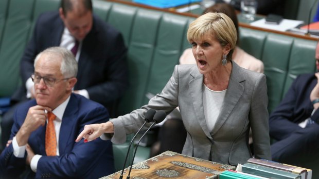 Foreign Minister Julie Bishop, pictured in question time on Monday, said Senator Hanson was entitled to her views.