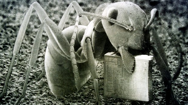 Nanotechnology: An ant carries a one millimetre square microchip in it's mandibles. 