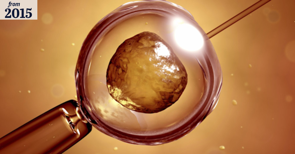 World’s first genetically modified human embryo raises ethical concerns