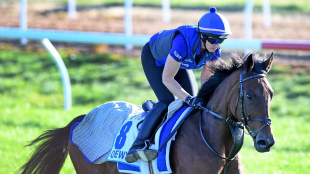 Contender: Qewy is guaranteed a spot in the Melbourne Cup field should Godolphin wish to pursue it.