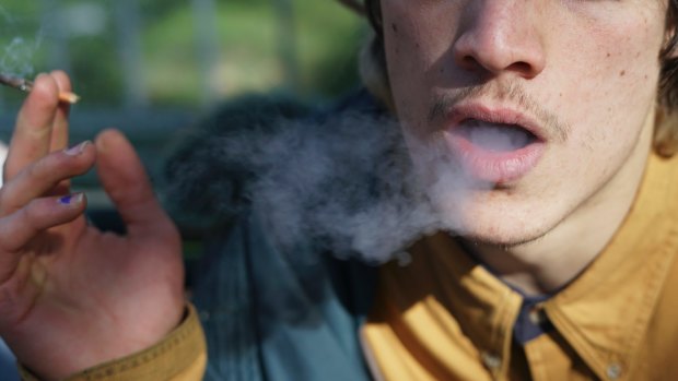Are chronic marijuana users really more relaxed than everyone else?