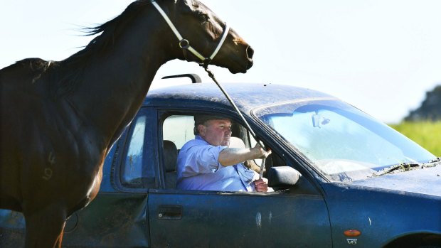 Car work: Trainer Grant Kluske and Go Dreaming go for a drive at Romsey. 