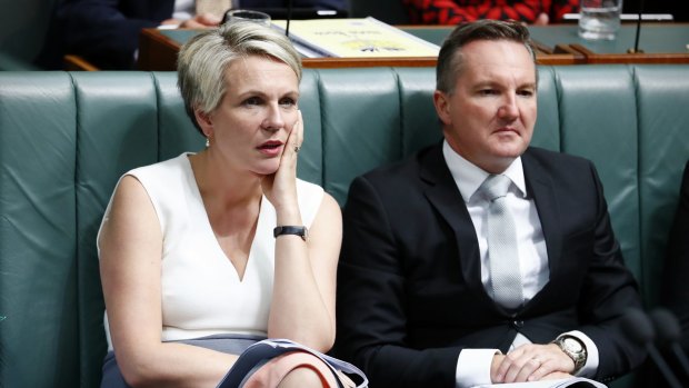 Deputy Opposition Leader Tanya Plibersek and Shadow Treasurer Chris Bowen 