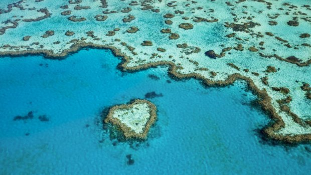 Queensland's Great Barrier Reef, guarding against possible tsunamis.