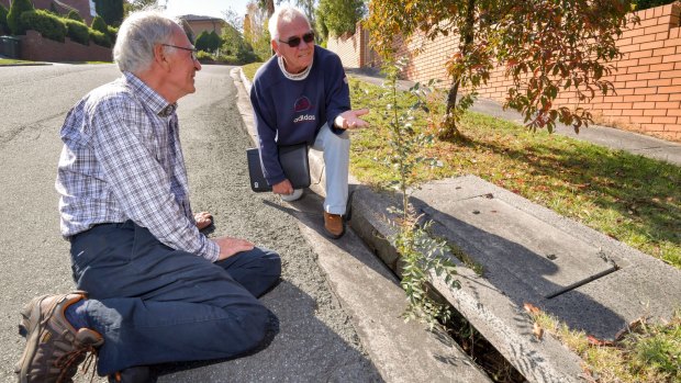 Templestowe residents Vincent Testa (left) and Karl Gaujenieks at a drain blocked so badly it is sprouting a tree. 