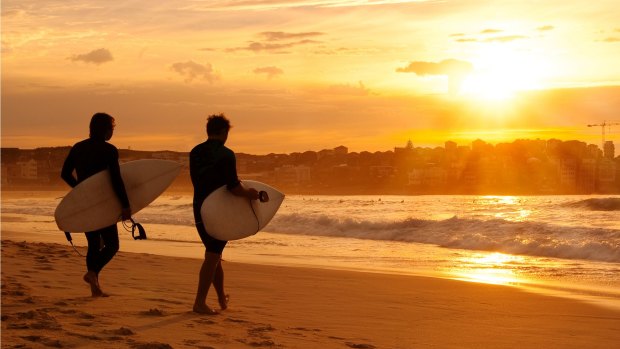 Dress circle: Bondi surfers take on the waves.