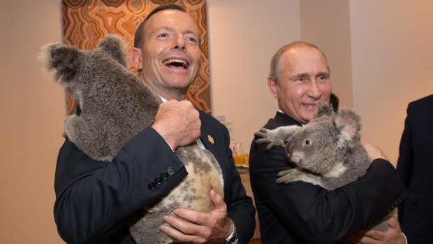 Tony Abbott and Russian President Vladimir Putin with koalas.