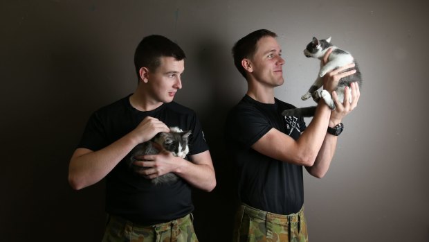Australian soldiers Nick Shore and Jesse James Thring with kittens at the Sydney Dogs and Cats home.