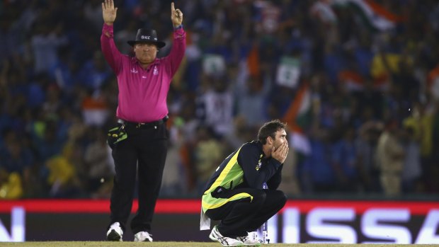 Glenn Maxwell despairs after being hoisted over the boundary rope.