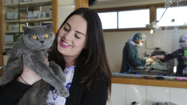 Canberra Cat Fix founder Alex Craig holds Norm, the hospital's resident cat.
