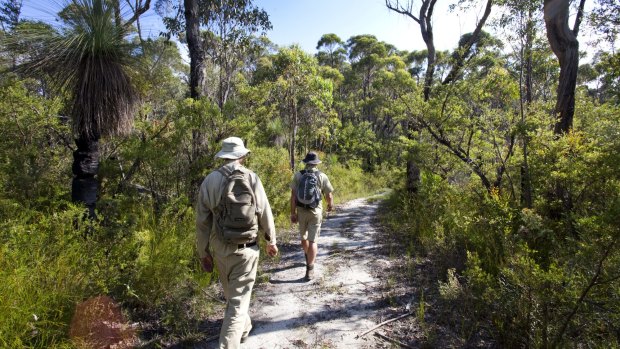 The Save a Species Walk is raising funds to protect 11 of Australia's most rare and endangered plants.