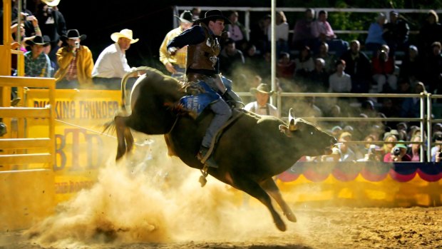 Bull riding at Mt Isa Rodeo.