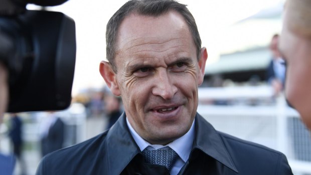Pressure: Trainer Chris Waller after another Winx victory.