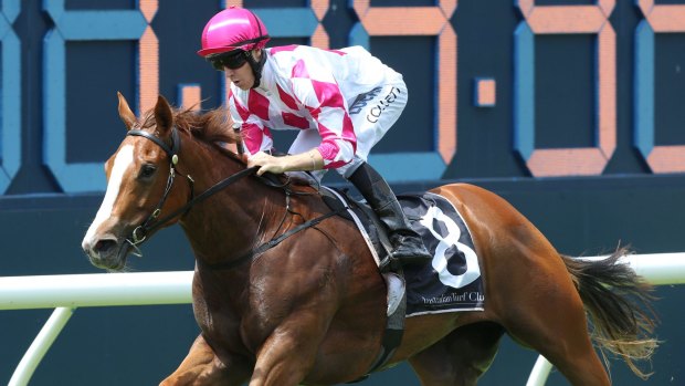 Fit: Champagne Cuddles will race in the Golden Rose with Jason Collett back in the saddle.