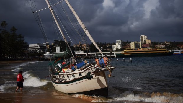 A yacht was driven ashore at Manly Cove on Thursday afternoon by strong winds. 