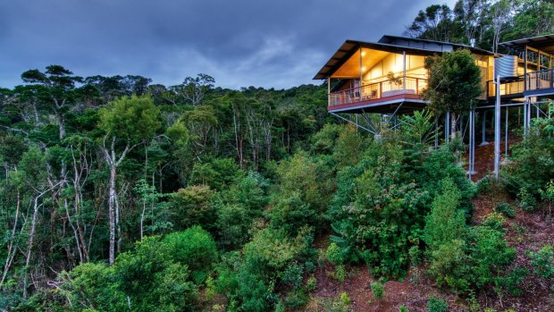 Perched high above the rainforest, you will forget there are others staying nearby.