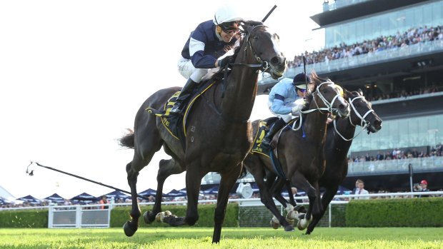 Gallante in victory: Kerrin McEvoy and Gallante give Lloyd Williams his fourth Sydney Cup at Randwick on Saturday.