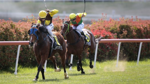 Jason Collins, left, on Little Miss Chelsy wins the benchmark 50 handicap at Queanbeyan.