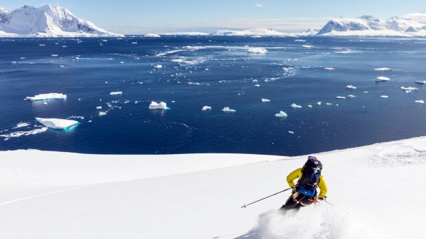 The terrain for ski touring is virtually unlimited in Antarctica.