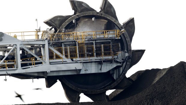 The Adani coal mine would be Australia's largest. 