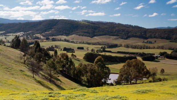 A view from Old Healesville Road across a valley in the Yarra Valley, Victoria.