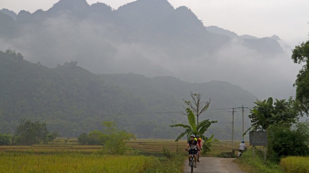 Cycling through rice fields near Mai Chau.