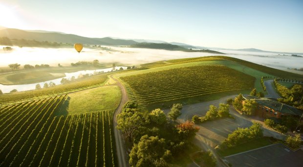Hot air balloon over the Yarra Valley.