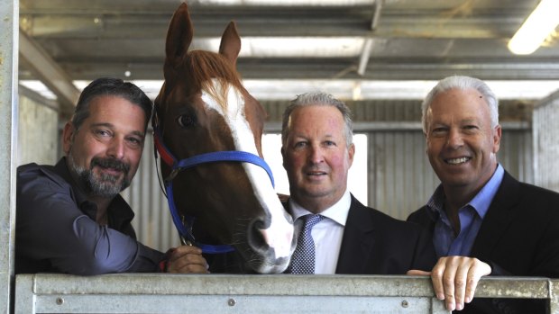 Single Gaze at his Thoroughbred Park stables with local owners Manny Notaras, Richard Keeley and Philip Kouvelis. 