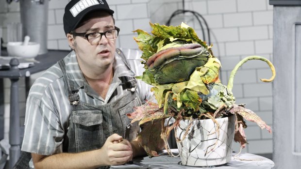 Brent Hill as Seymour Krelborn in <i>Little Shop of Horrors</i> at the Hayes Theatre. 