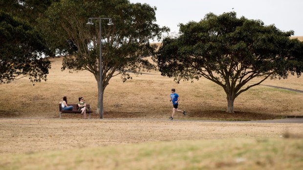 The grass at Sydney Park is suffering from the lack of rain as Sydney experienced a dry September.