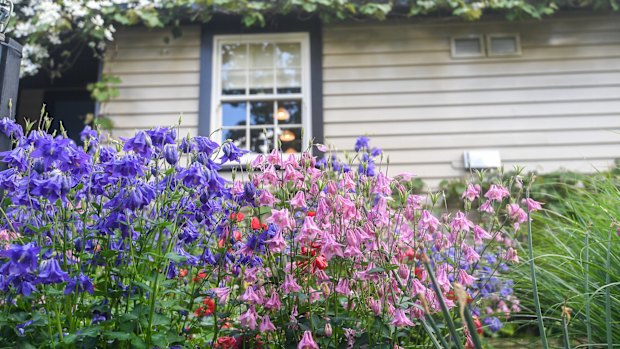 Spring blooms at Musk Farm.