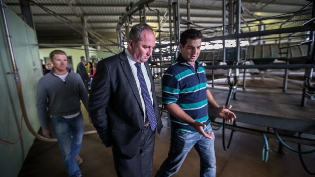 Deputy Prime Minister Barnaby Joyce visiting a Shepparton dairy on Wednesday.