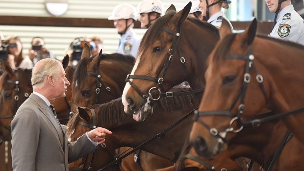 The Prince of Wales during a visit to the NSW Mounted Police Unit in Redfern in 2015.