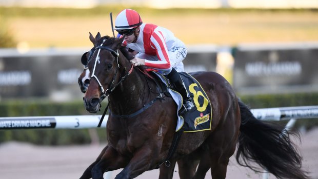 Stable in form: Mana wins at Randwick last weekend.