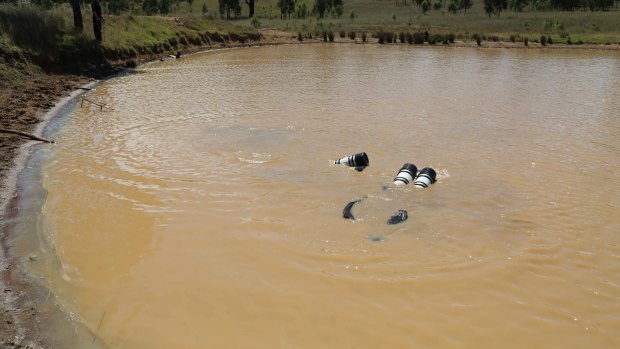 Police divers search a dam in Muswellbrook in February 2015.