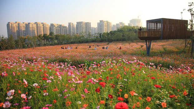 Surrounded by high-rises, Kongjian Yu's ornamental park and farmland draws residents in Quzhou.