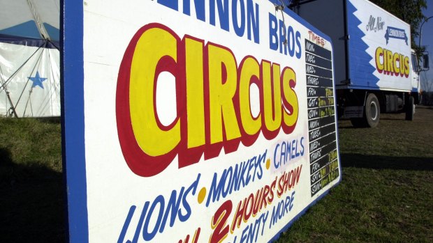 Lennon Brothers Circus features lions, monkeys and camels.