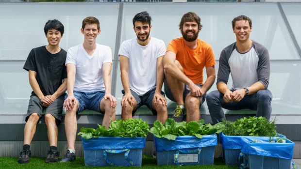 Canberra startup entrepreneurs Ken Loh, Luke Worth, Arash Joobandi, Tom Watkins and James Deamer are in Shenzhen developing their concept for an automated gardening system.
