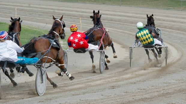 Persuader: A backlash is expected on a forum to discuss the banning of whips in harness racing.