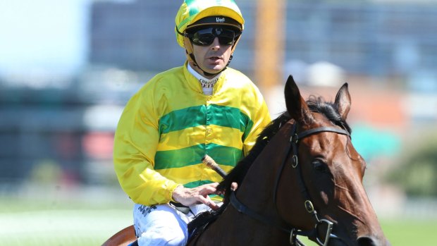 Upset brewing: Christian Reith is bullish about Radiant Choice turning the tables on Single Bullet.