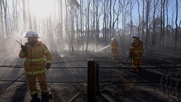 Fire crews mop up after a bushfire impacted properties in Cranebrook and Llandilo. 