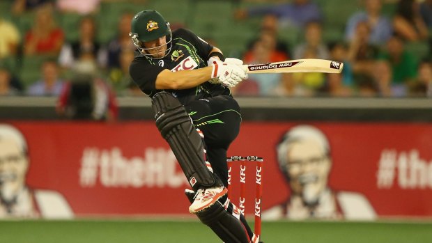 Balanced: Aaron Finch was in form with the bat, finishing on 44 not out. 