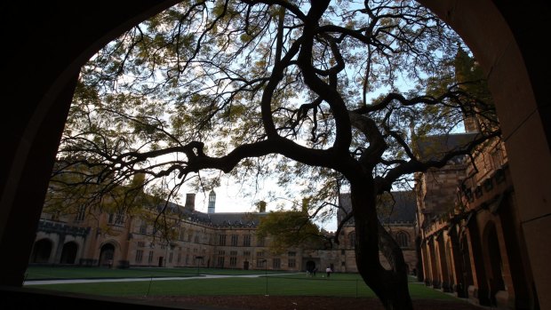 The jacaranda in the main quadrangle at Sydney University was planted 88 years ago..

