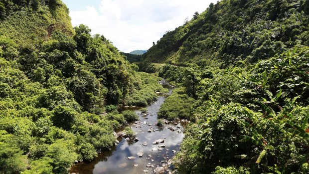 Vietnam's Khe Nuoc Trong forest has retained just 30 per cent of its original natural vegetation.